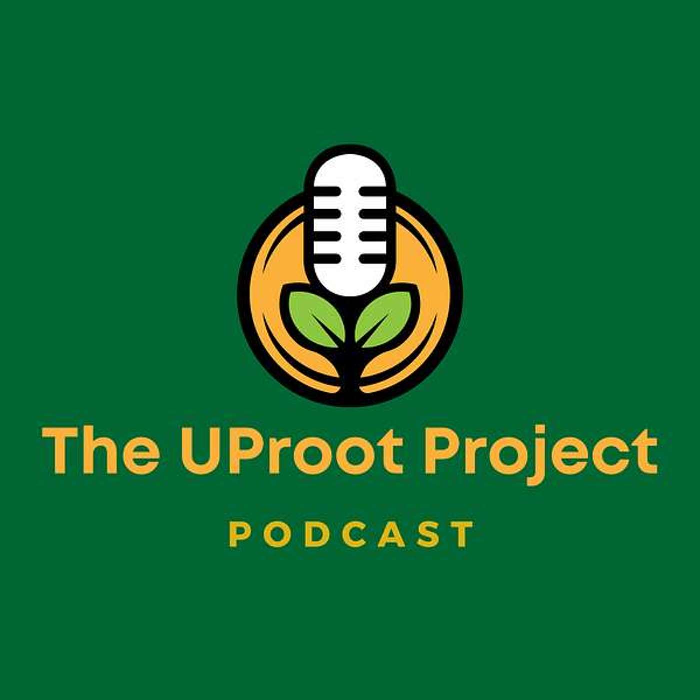Unmasking Toxic Positivity: Real Talk on Gratitude and Boundaries Unmasking Toxic Positivity: Real Talk on Gratitude and Boundaries