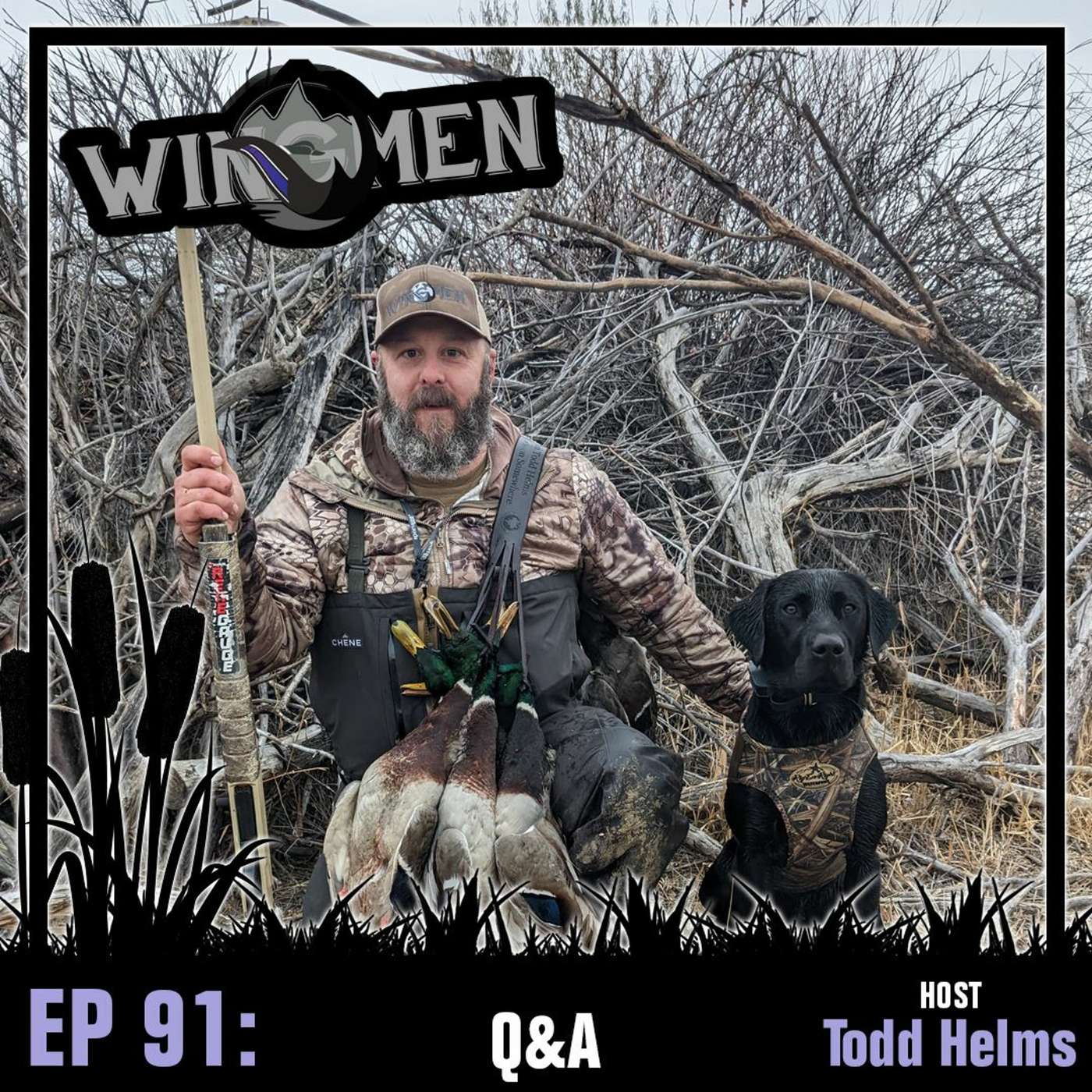 Wingmen Podcast EP 91: Todd Helms Q&A episode artwork
