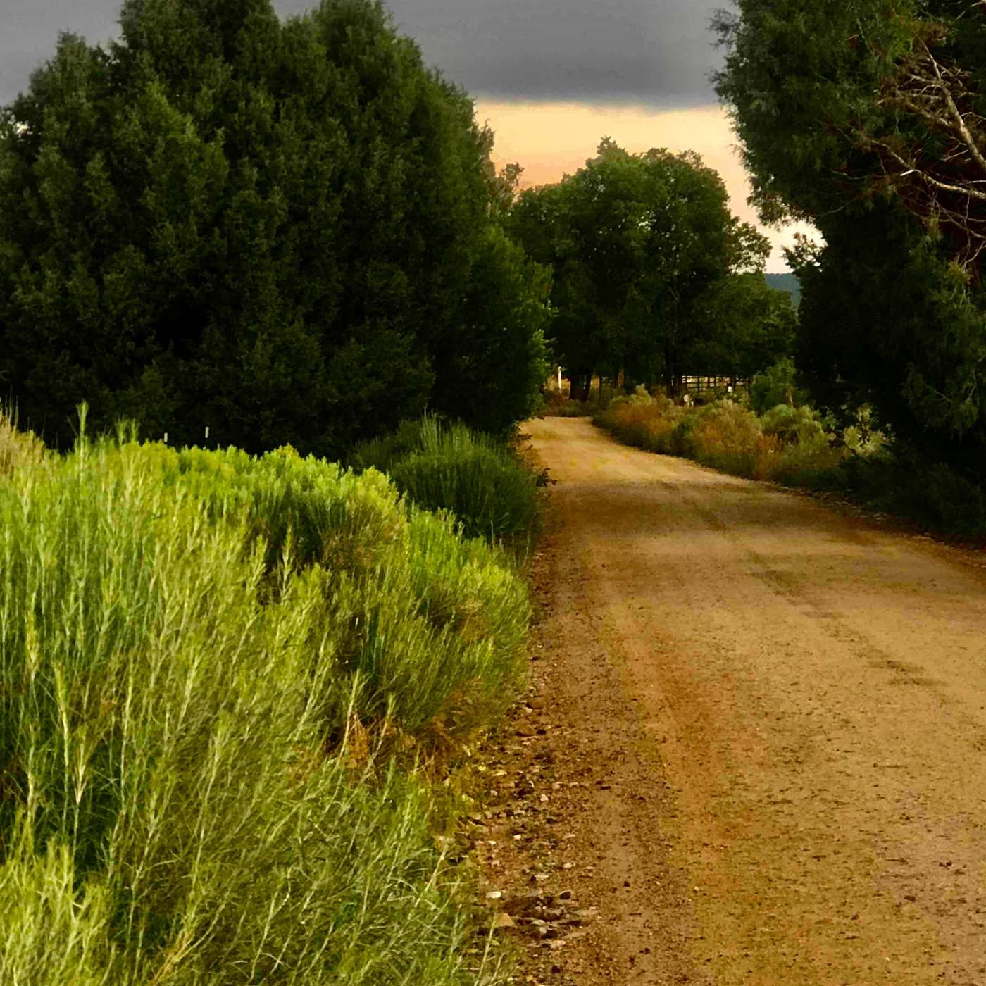 Why I Was A Failed Hippy - Walking The Rim Road  With James Navé episode artwork