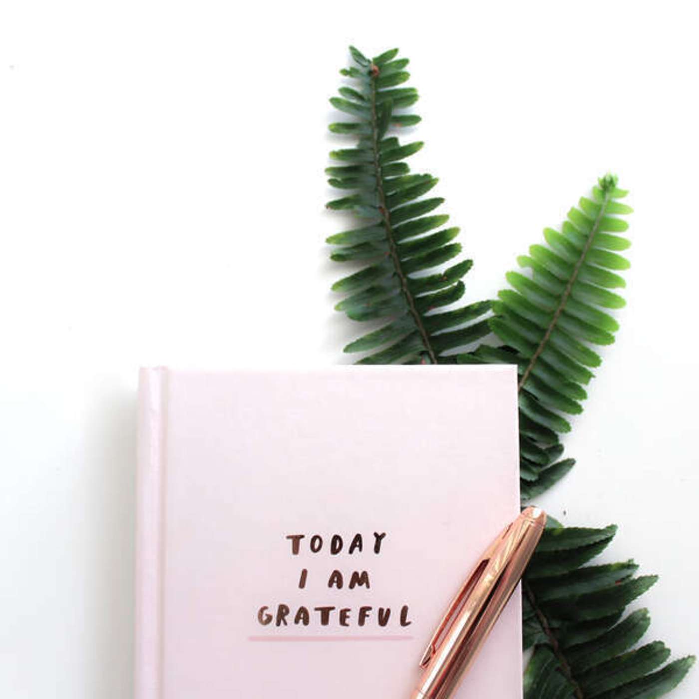 Gratitude: a poem by Edgar Albert Guest episode artwork