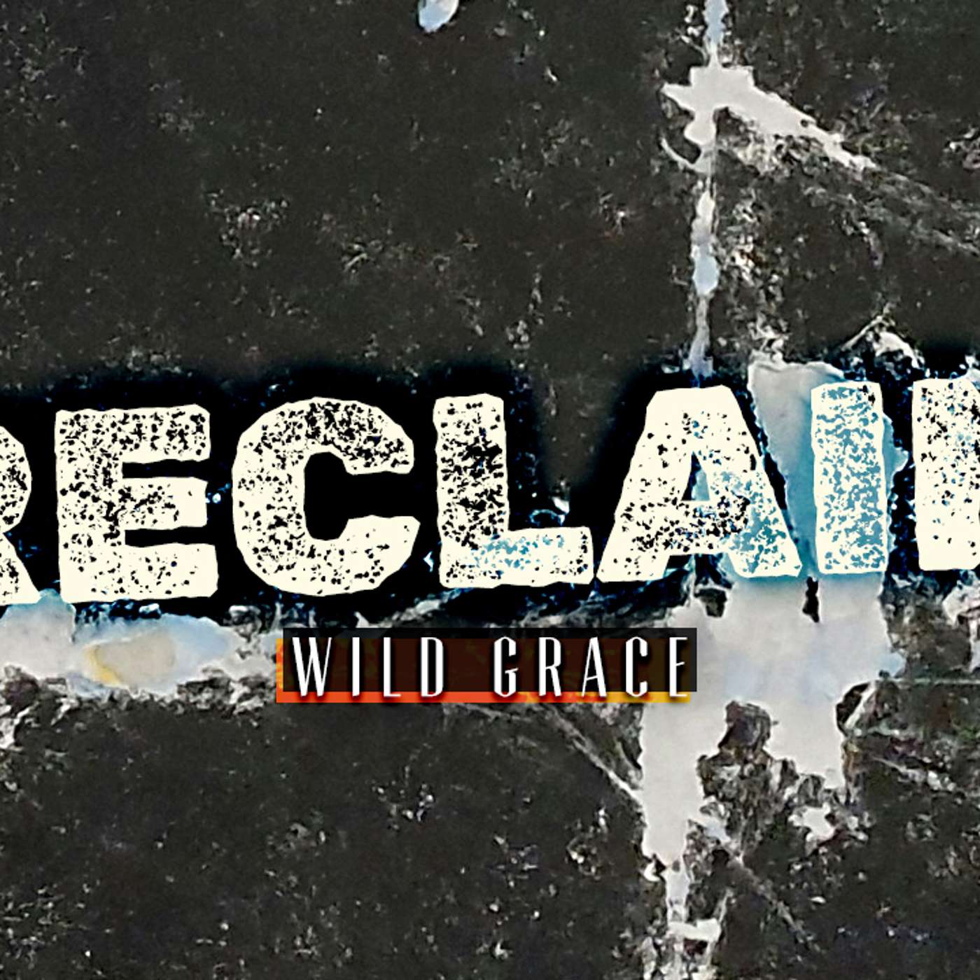 Reclaim: Wild Grace - Todd Blanton Reclaim: Wild Grace - Todd Blanton