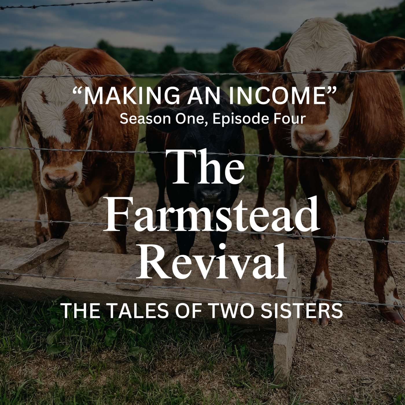 Episode #4 Making An Income episode artwork