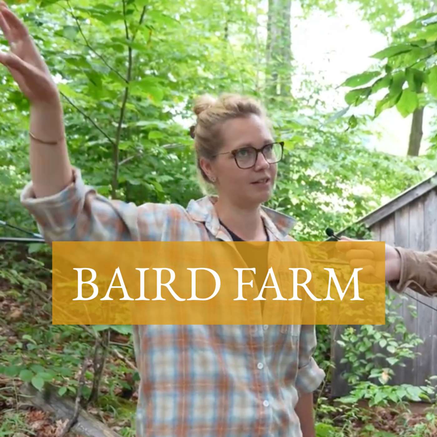Vermont 4th Gen Maple Farm: Syrup Quality, Tree-tapping, Forest Management, & Vermont's Unique History (Live Farm Tour) - Baird Farm | #106