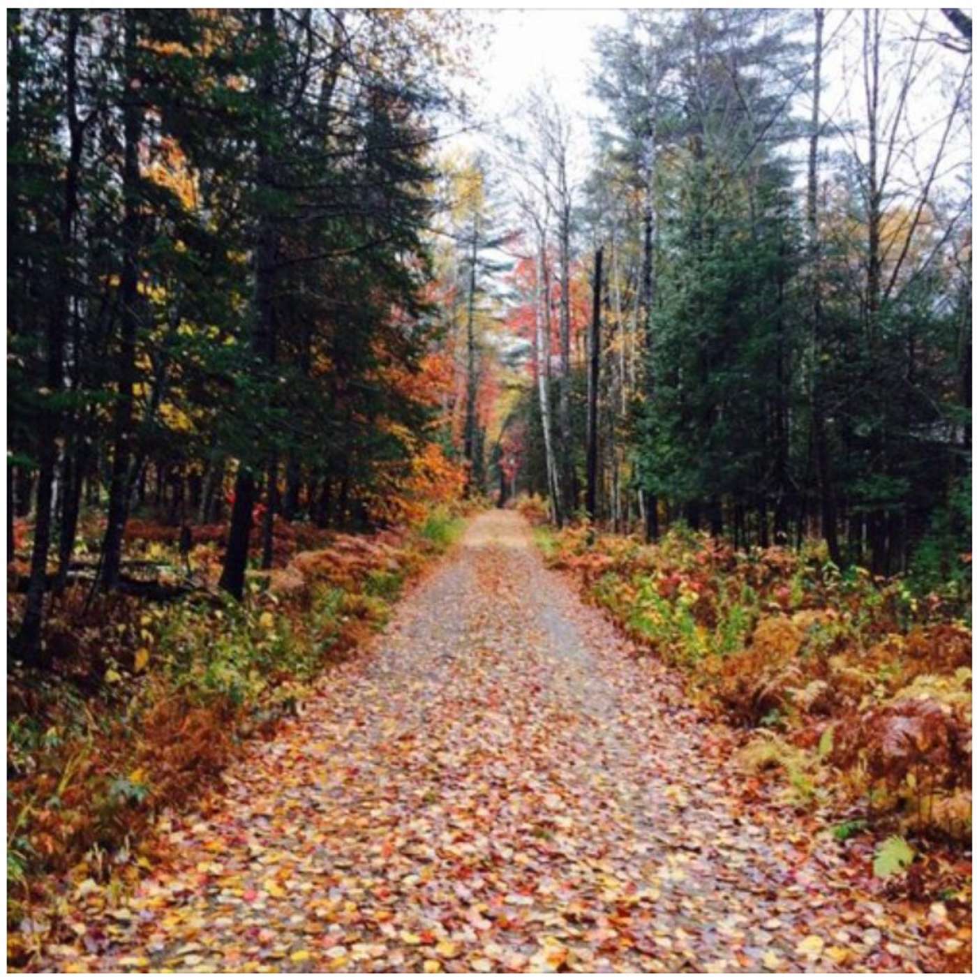 Body & Soul Harmony (2)