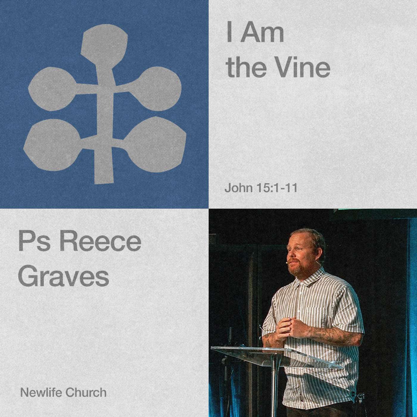 Play I AM: the Vine