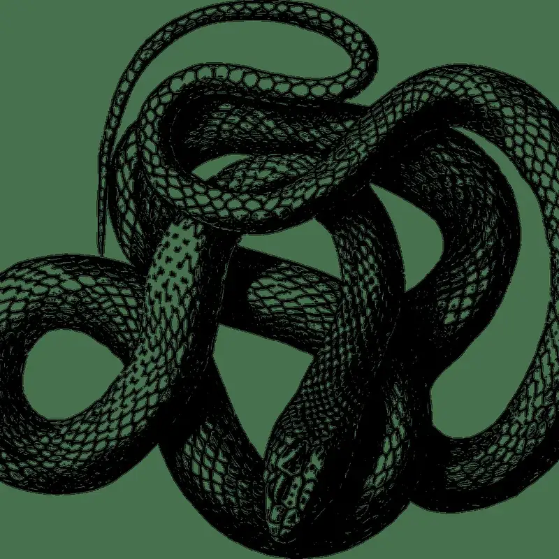 Mini: Hairy Snake of Thailand