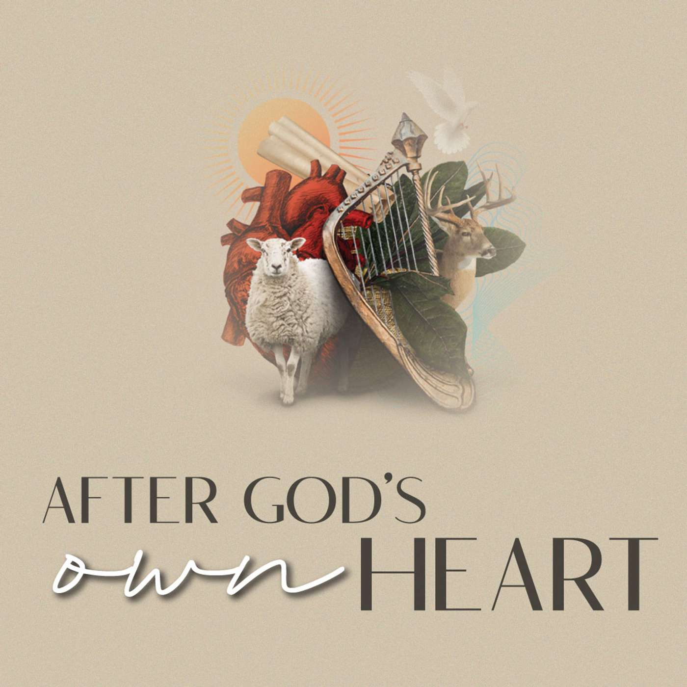 Christ Community Church, Greeley