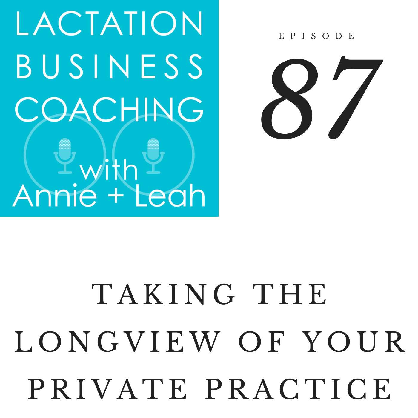 Lactation Business Coaching with Annie and Leah