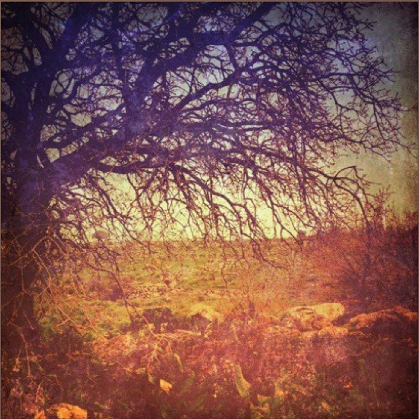 The Blessing and Fixing of the Medina (2)