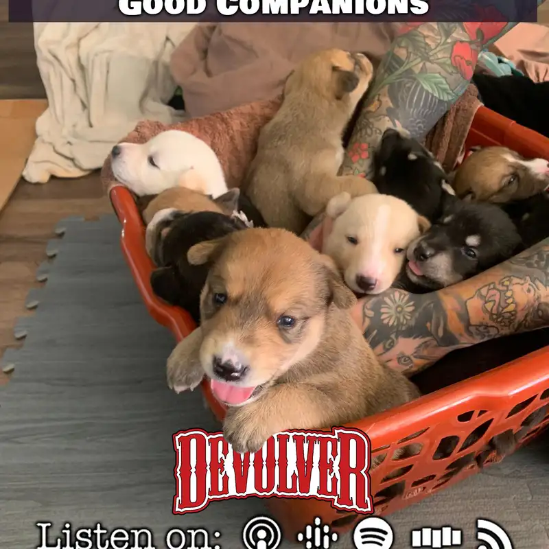 Episode 151: Good Companions
