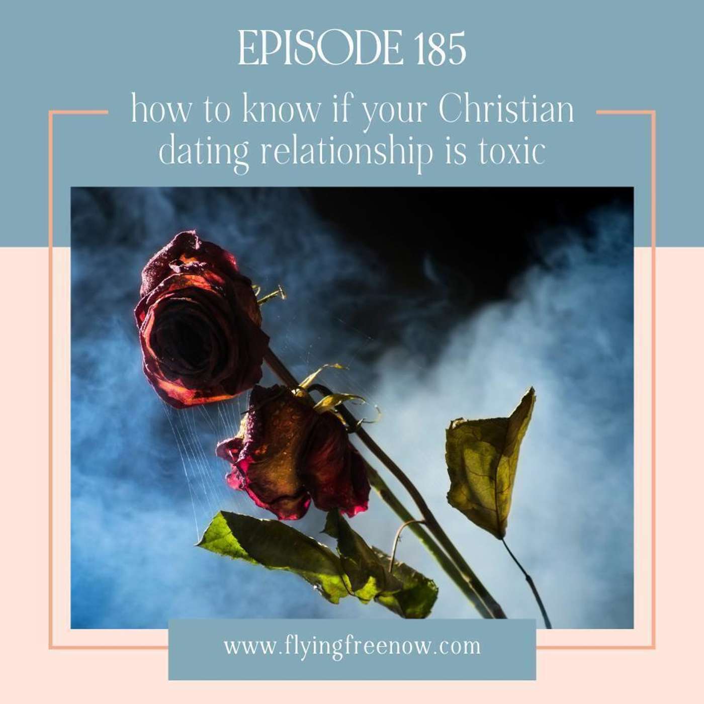 How to Know If Your Christian Dating Relationship is Toxic [185]
