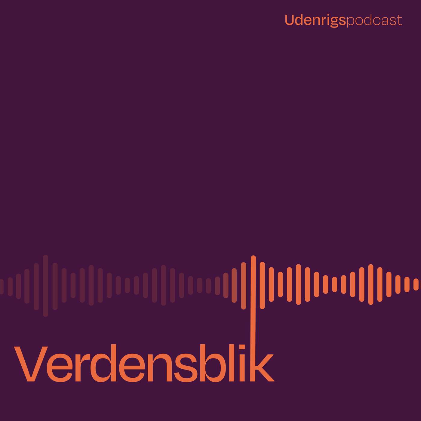 Verdensblik
