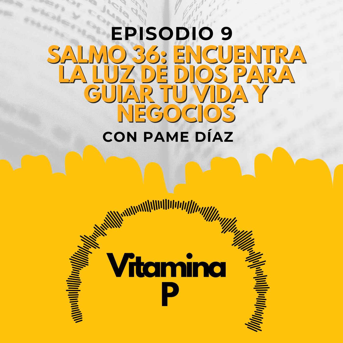 Portada de Vitamina P