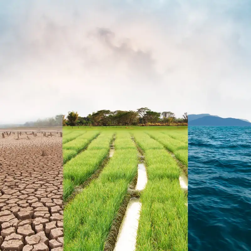 The Frozen Climate Views of the IPCC (Guest: Andy May)