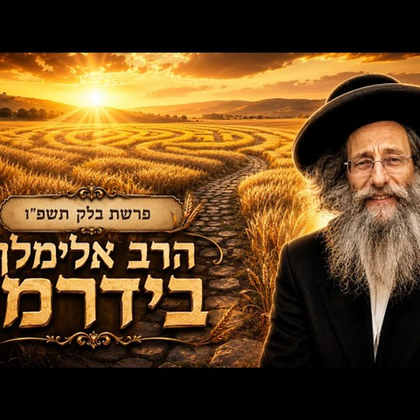 הרב אלימלך בידרמן | פרשת בלק תשפ"ו (2026) | עלונימייל