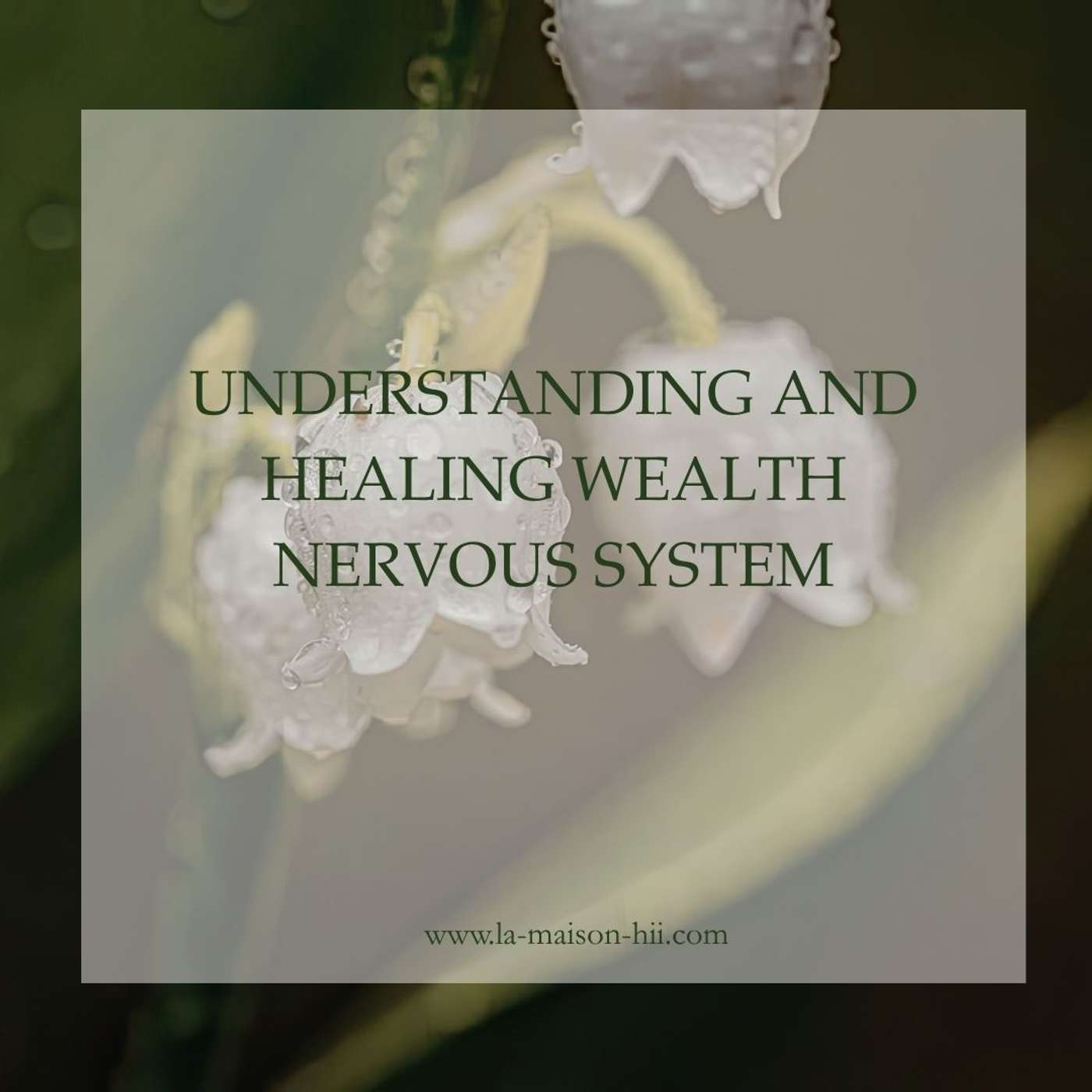 16. Understanding and Healing Wealth Nervous System episode artwork
