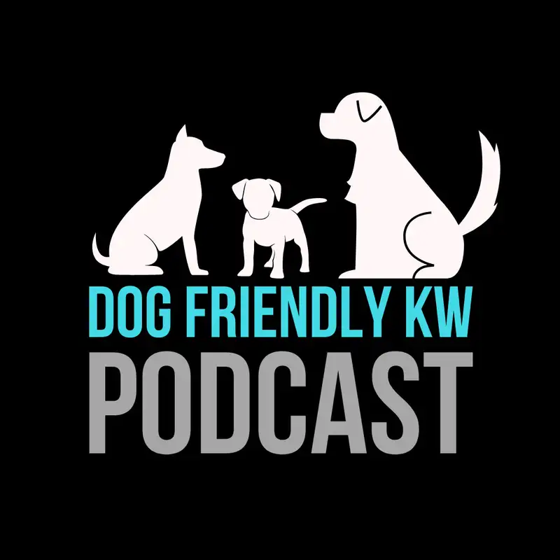Episode 13: Season Finale and Q&A