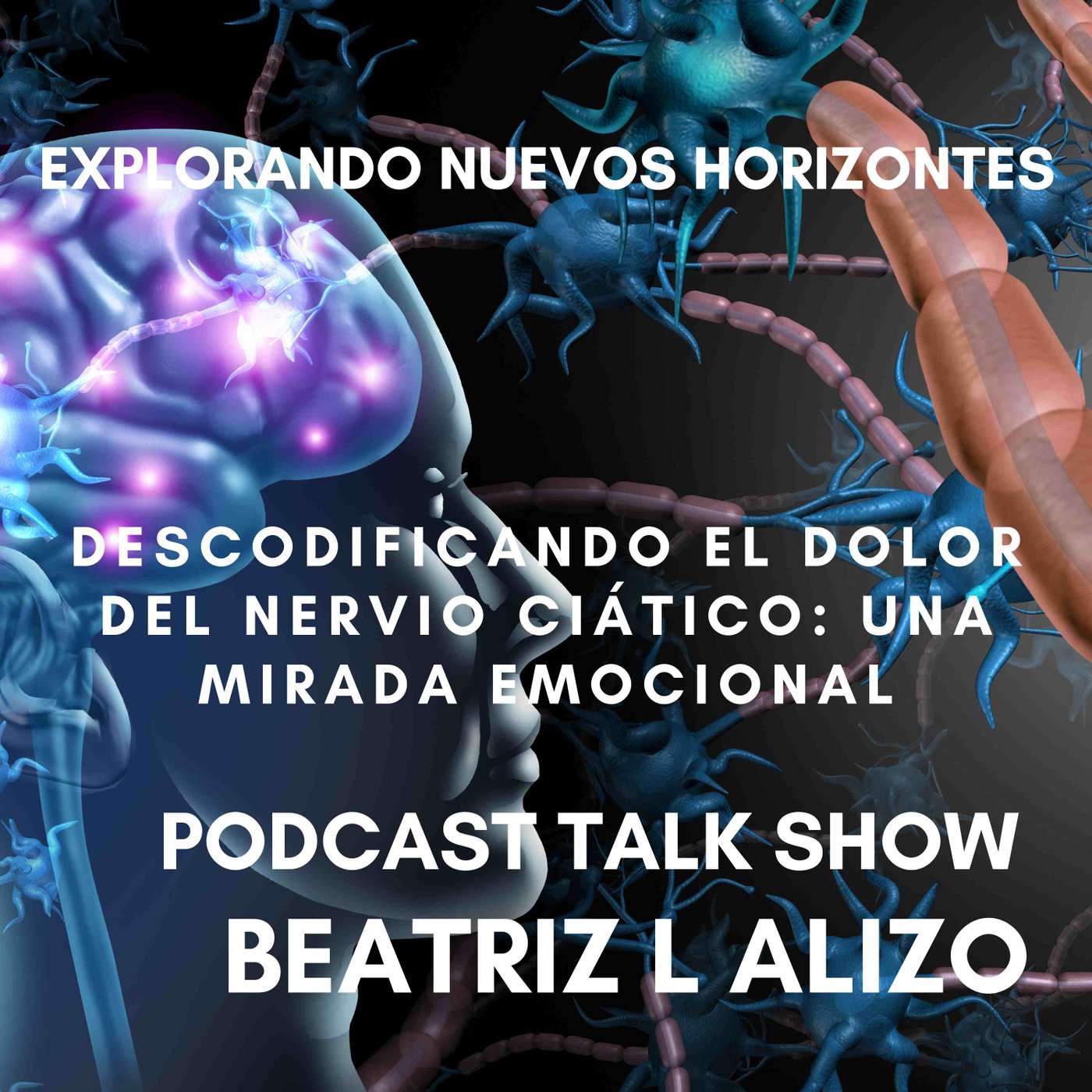 Explorando Nuevos Horizontes