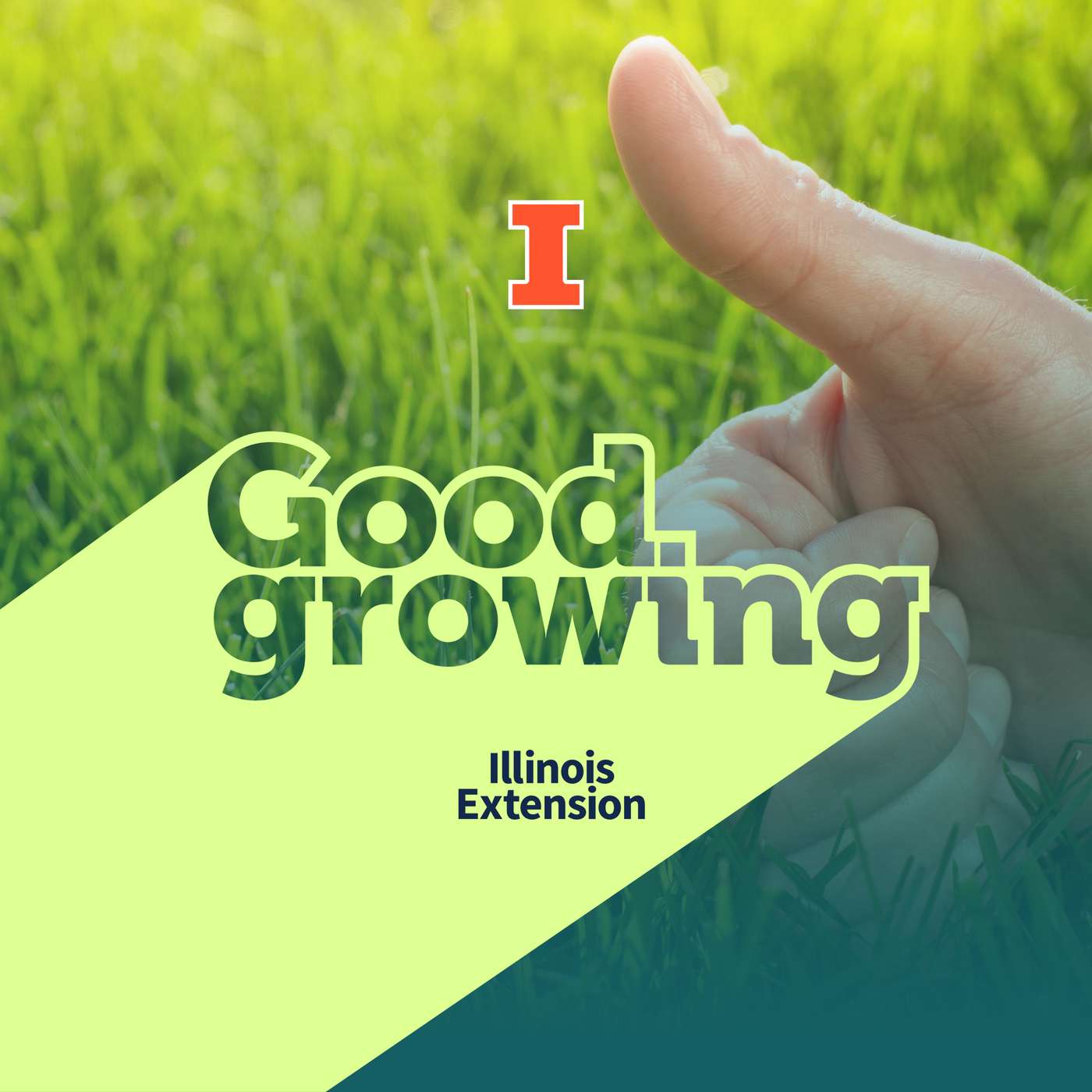 Ep. 261 Horticultural rules of thumb | #GoodGrowing episode artwork