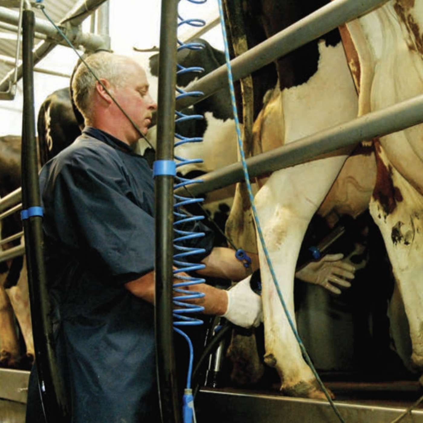 Can you reduce the length of your working day?