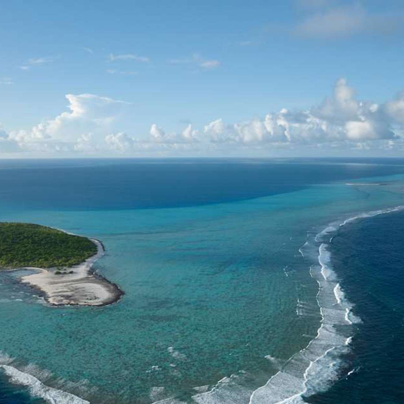 Study Links 7000 Daily Steps to Health, AI Boosts Fishing Detection Success, Science Retracts Arsenic Life Study, Long-Read Sequencing Reveals Genomic Diversity, and more...