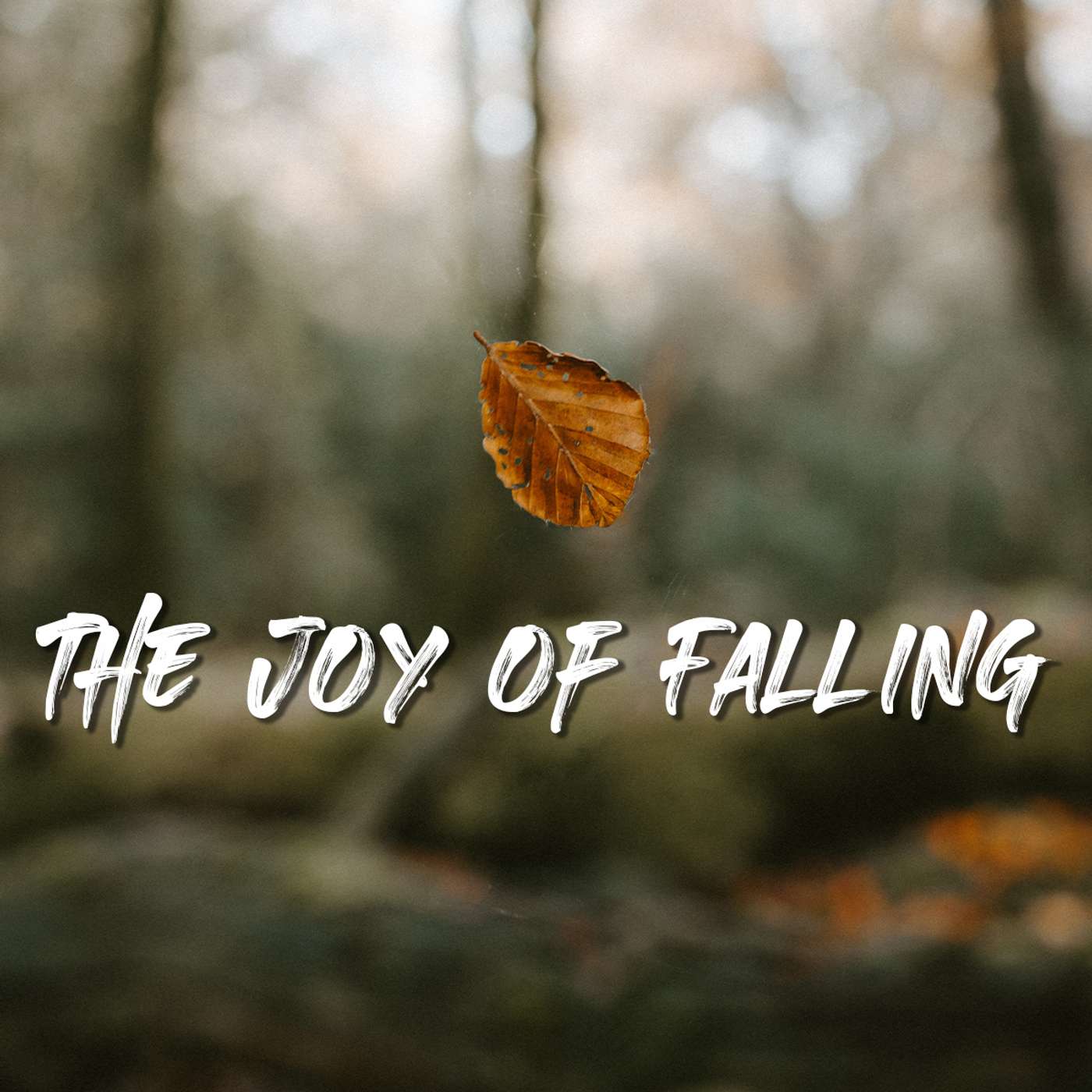 The Joy of Falling - Myoyu Voekel