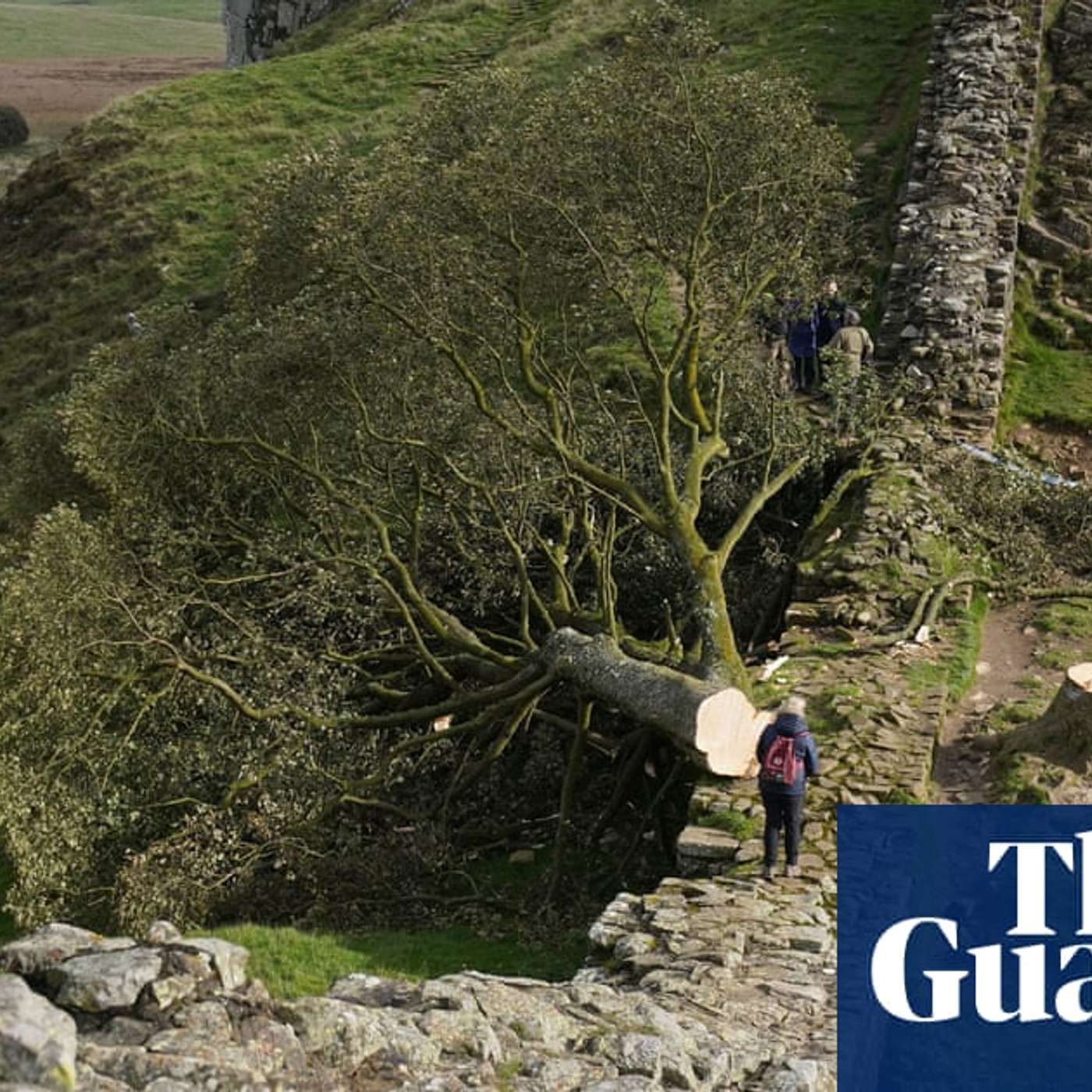London Sword Attack, Premier League Considers Spending Cap, Robin Hood Tree Vandals Charged, HSBC Outperforms in Q1, and more... episode artwork