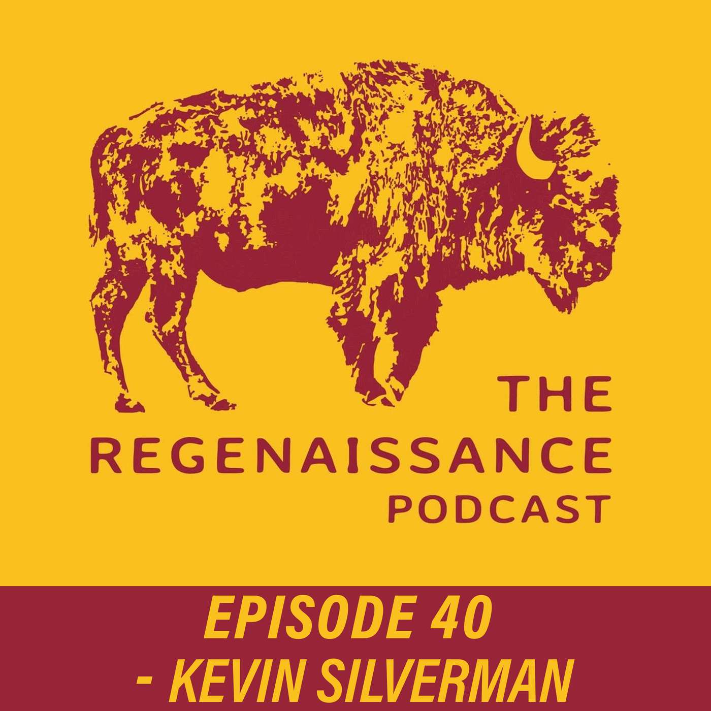 The Regenaissance Podcast
