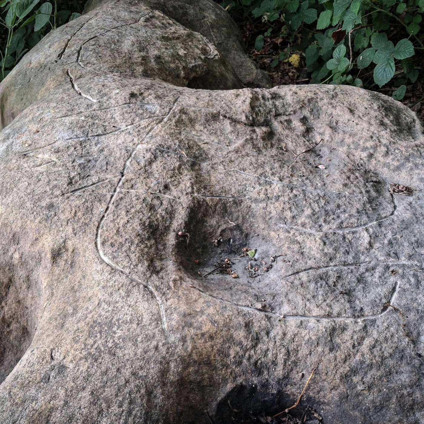 The lost art of making a petroglyph