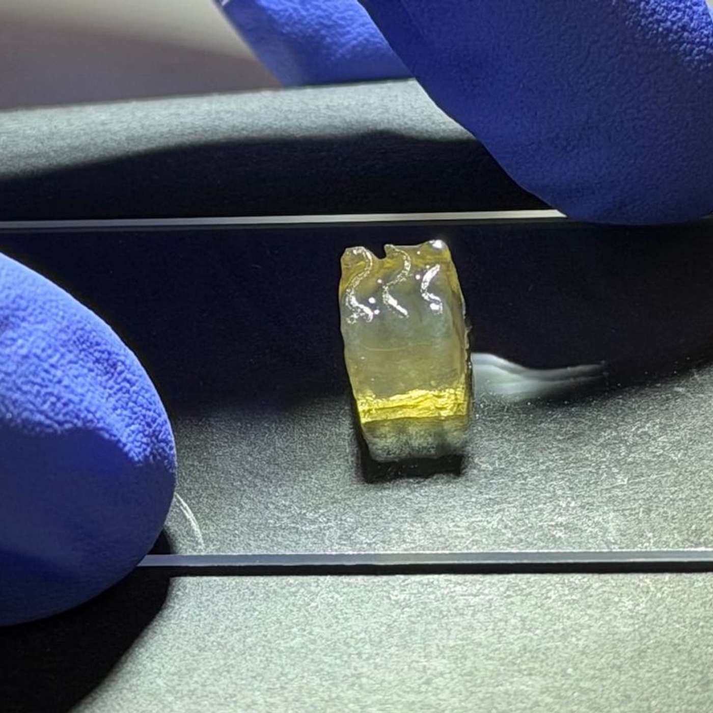 Space Bioprinting Nerves on ISS, Tooth Regeneration Breakthrough, MIT Physicist Proposes Satellite Nuke Detector, Illinois Becomes Quantum Hub, and more...