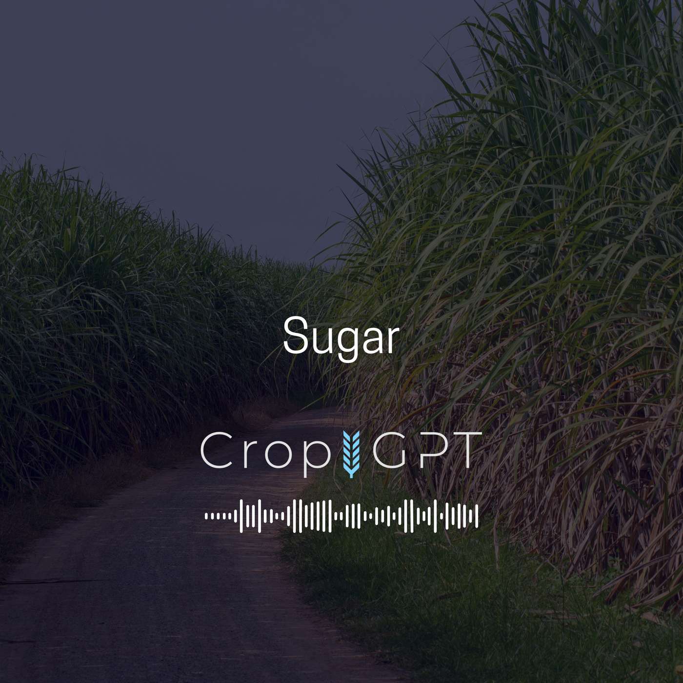 CropGPT - Podcast for Commodities