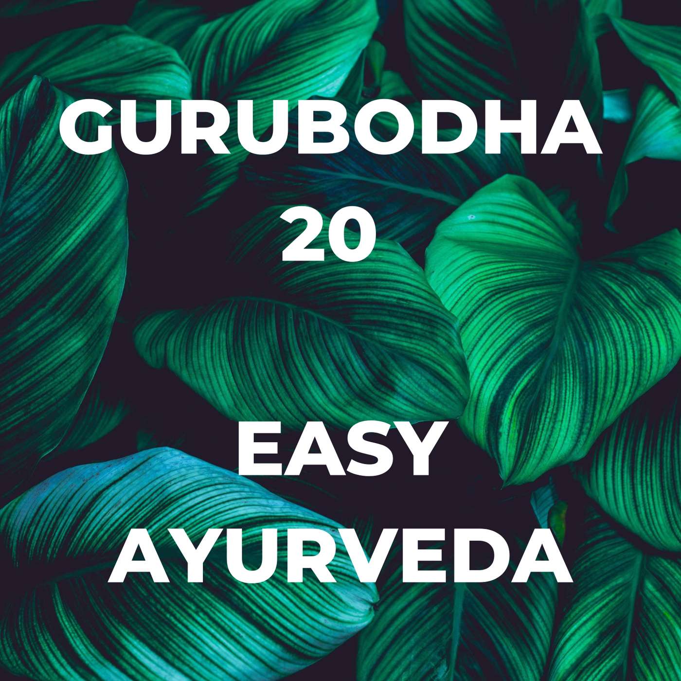 Gurubodha 20: Brain Injury, Gokshur - Shilajit, X Ray Detox, Laxatives - Twitching Pain episode artwork