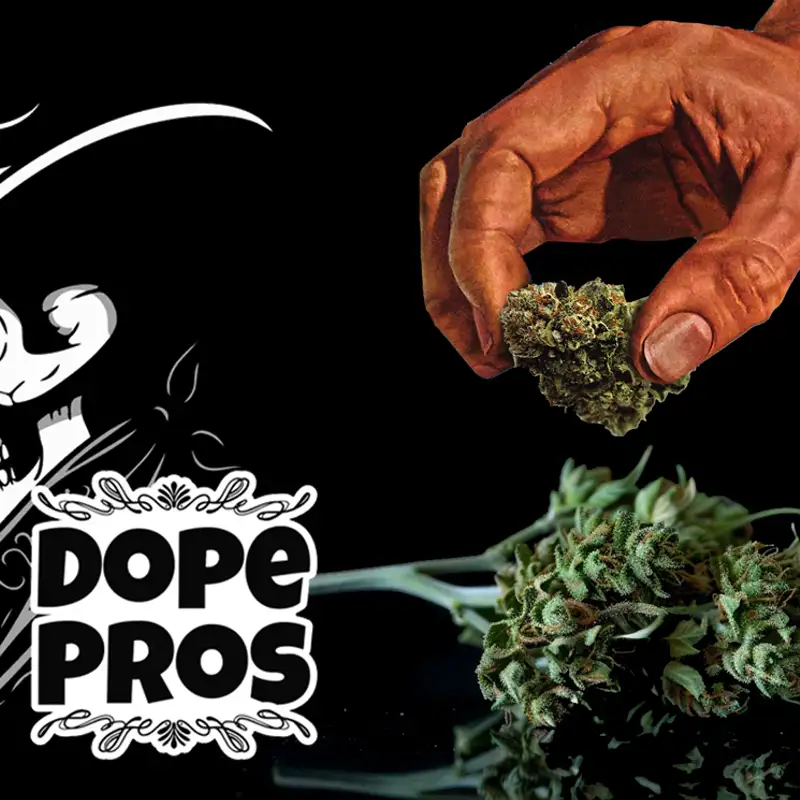 Dope Pros & the National Hemp Ban  