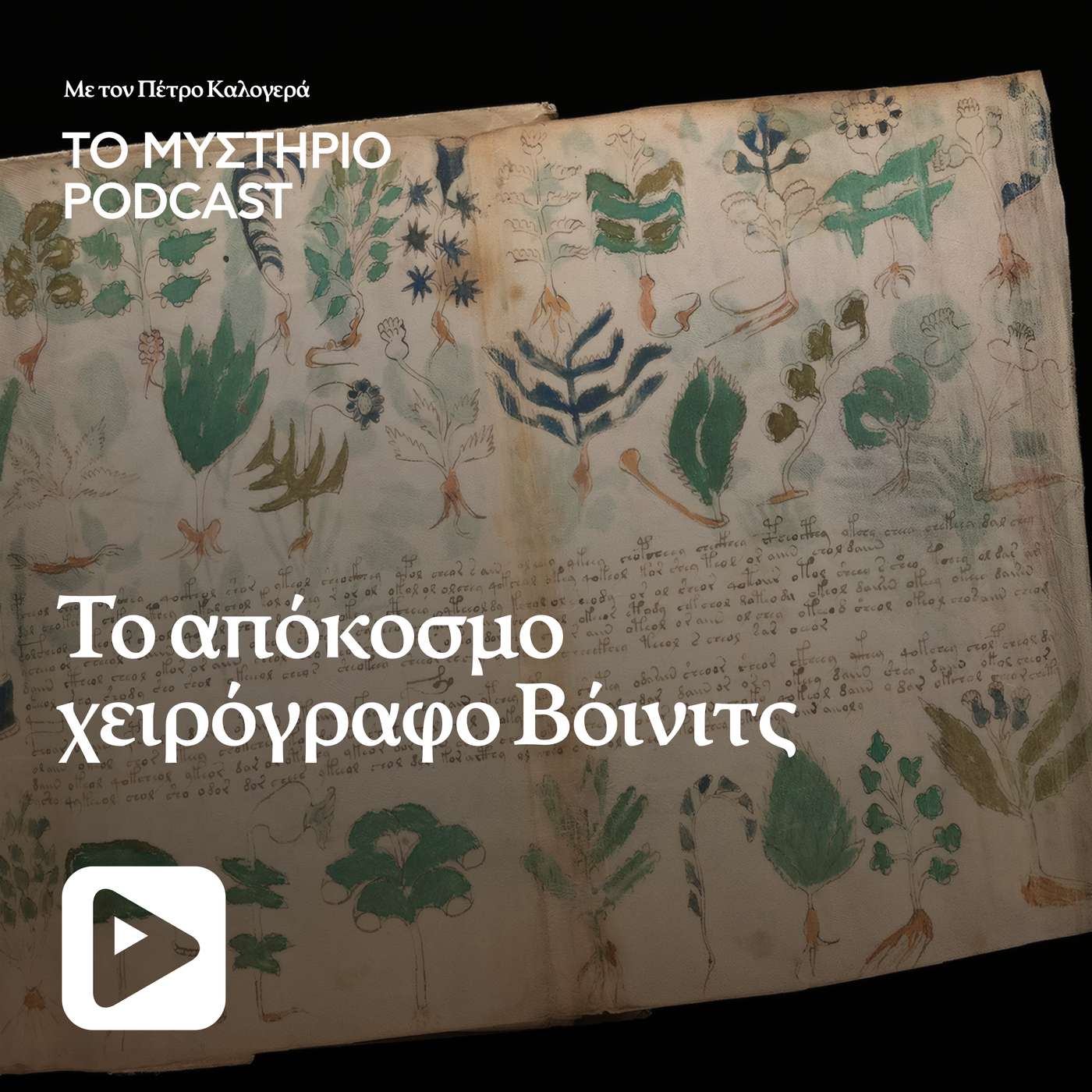 Το απόκοσμο χειρόγραφο Βόινιτς