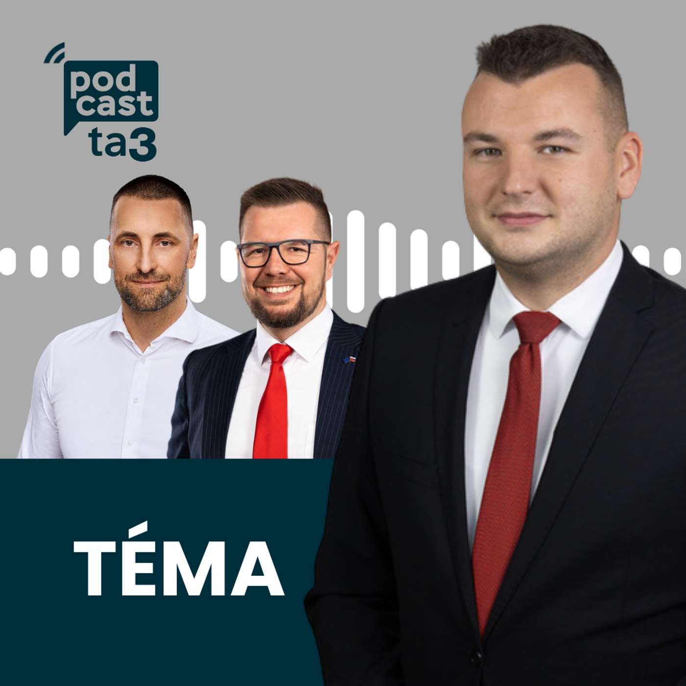 Téma: Igor Šimko vs. Marián Viskupič episode artwork