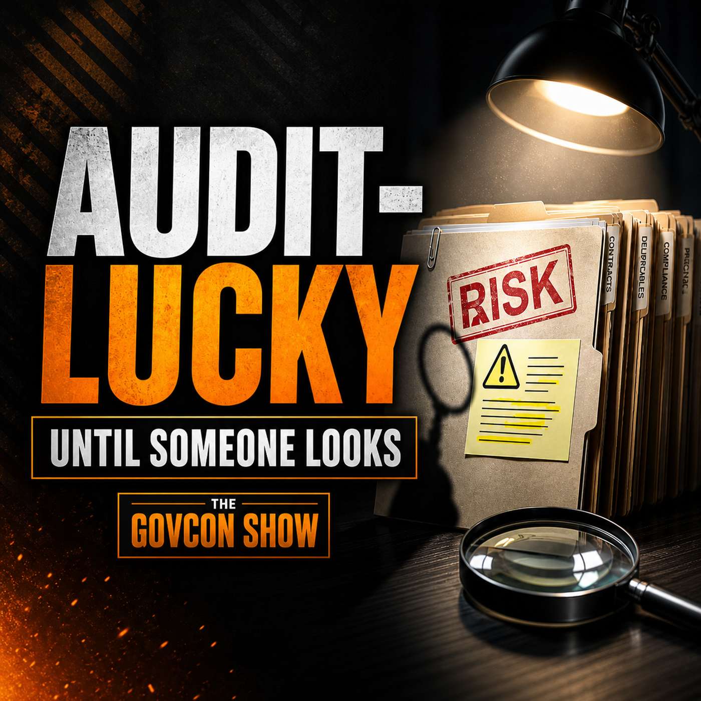 The GovCon Show