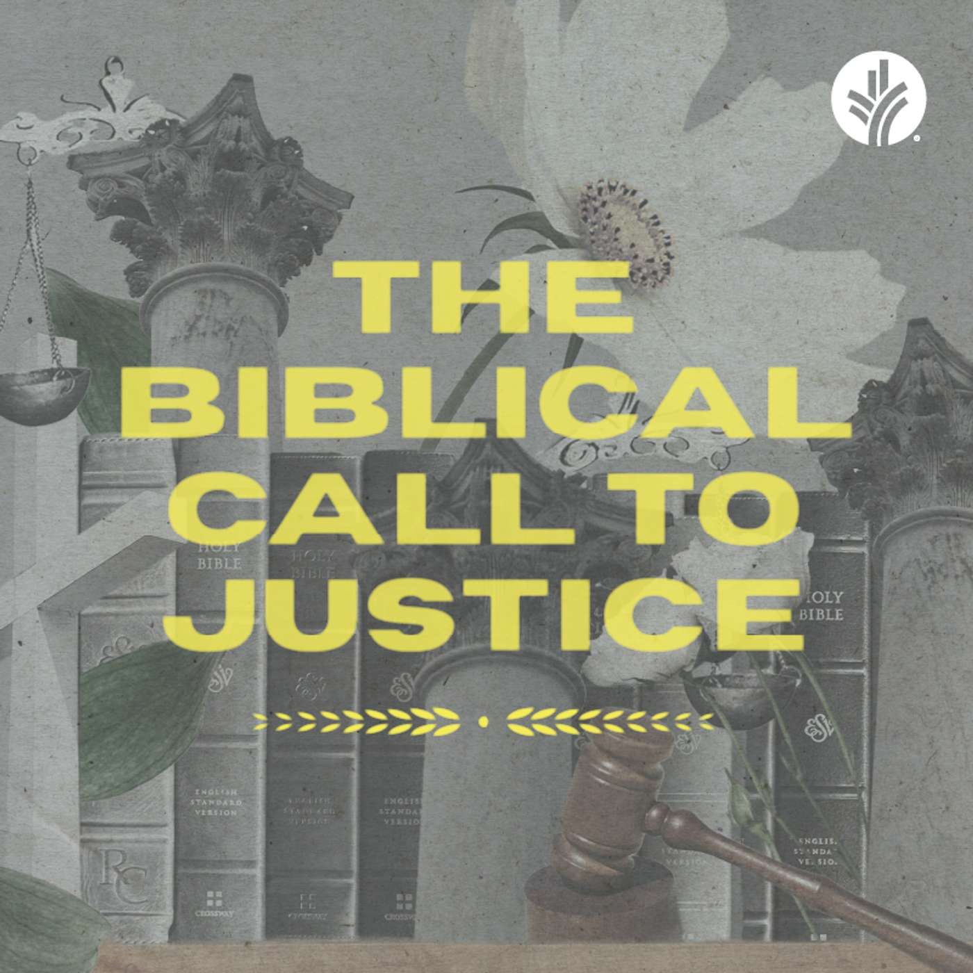 237. The Biblical Call to Justice | Discover the Word Podcast