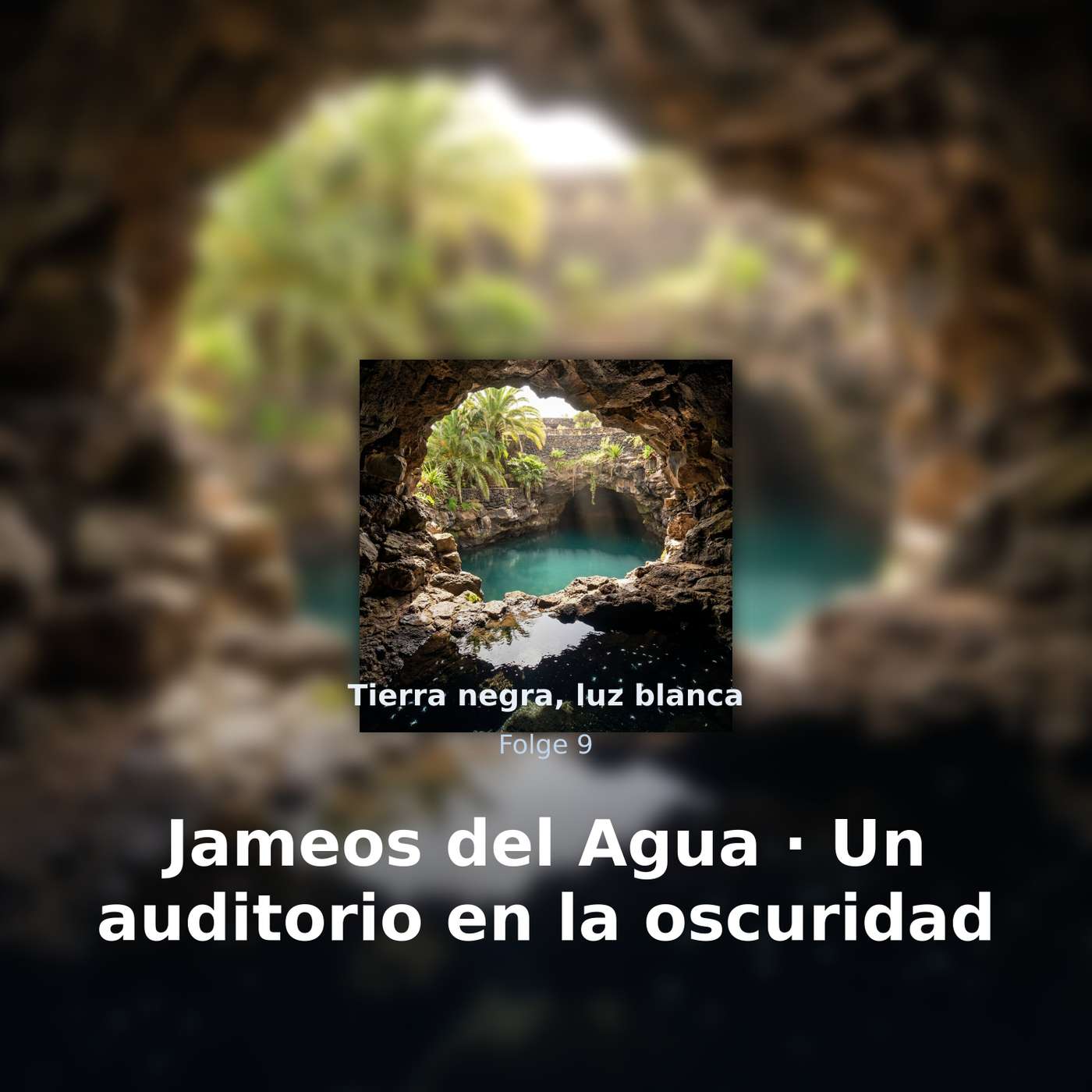 Tierra negra, luz blanca