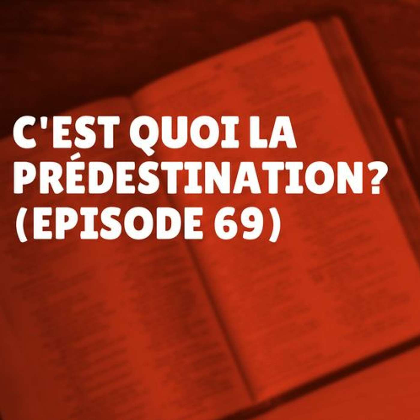 C'est quoi la prédestination? (Episode 69) episode artwork