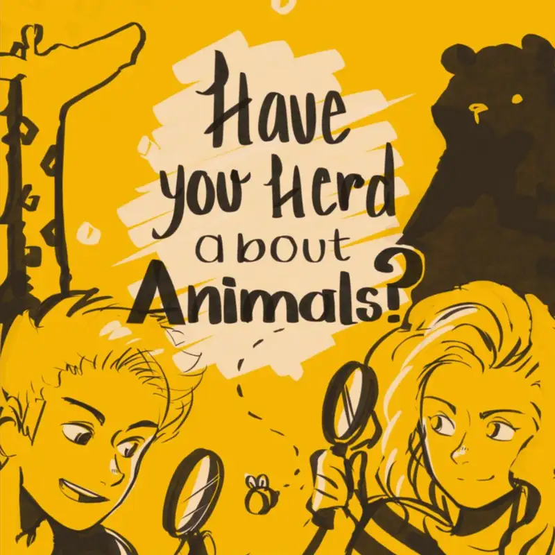 Have You Herd About Black Bears?