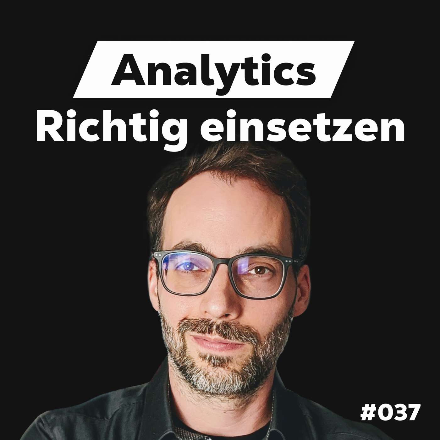 Die Dominik Liss Show (WordPress & Business Talks)