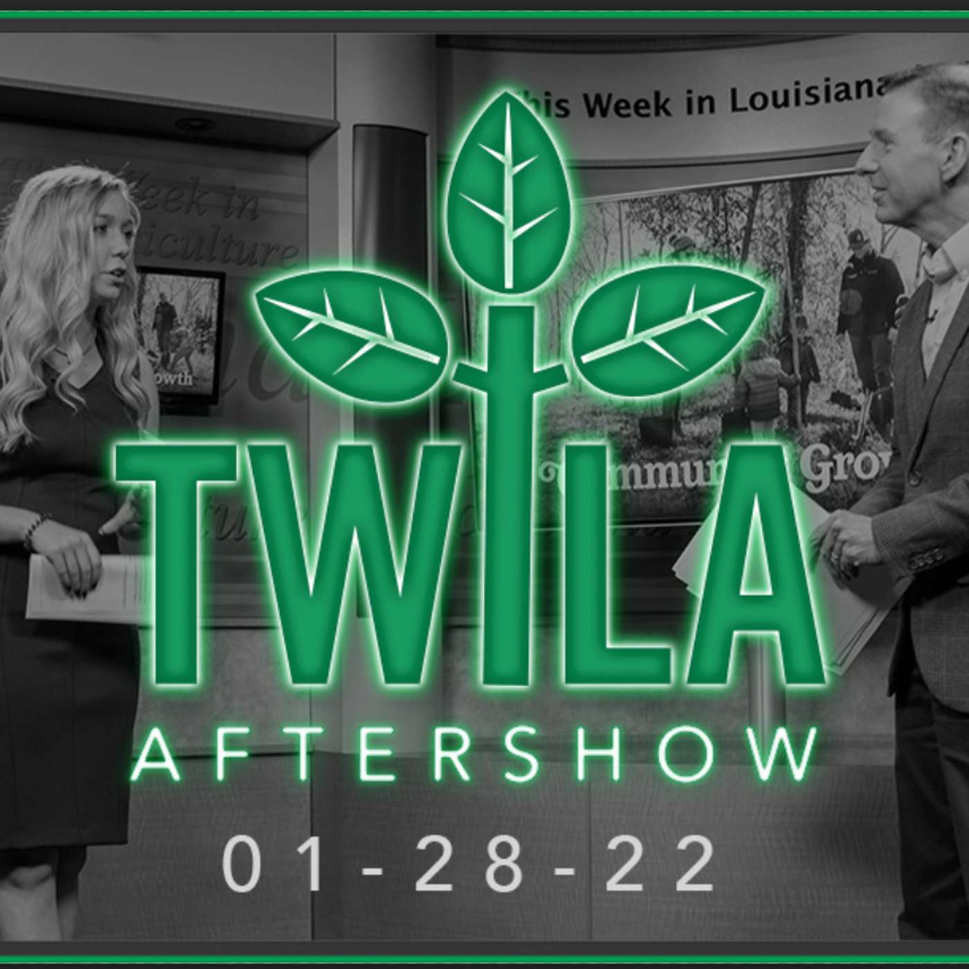 TWILA Aftershow - Meet Breann Hendrickson episode artwork