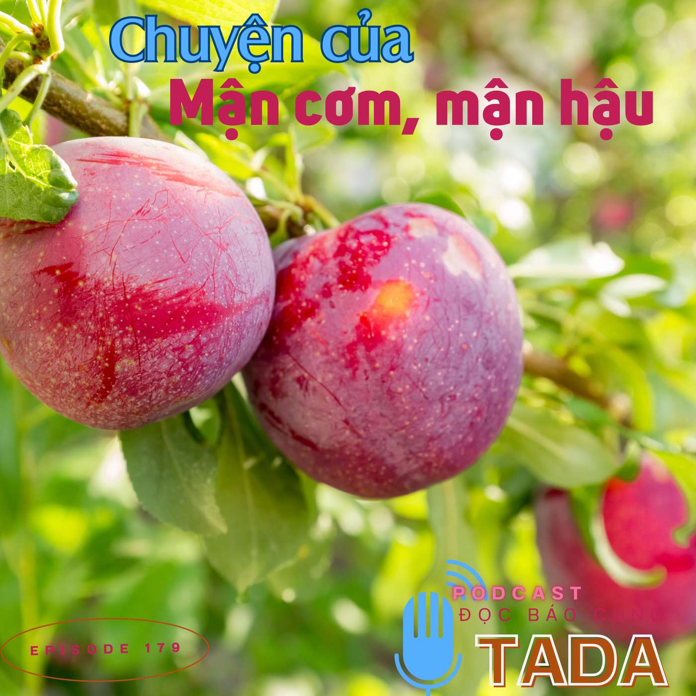 Chuyện của mận cơm, mận hậu