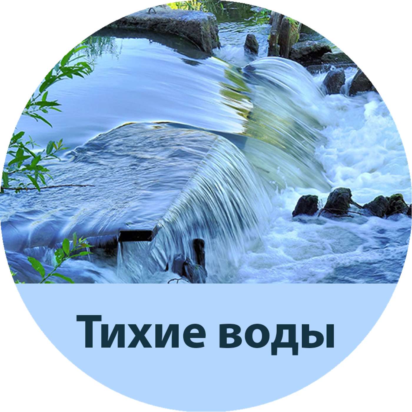 323. Господь - Пастырь мой; Пс 22