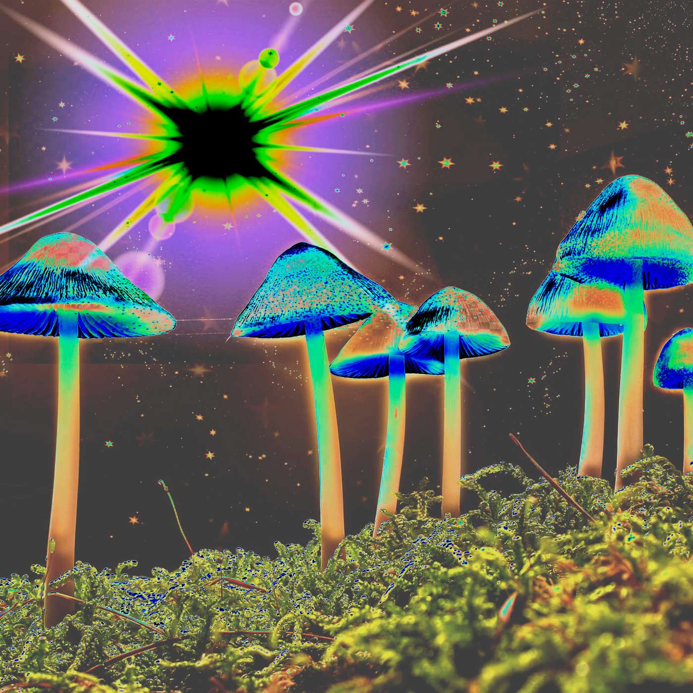 Terence McKenna : Altered States, Consciousness & Radical Ideas