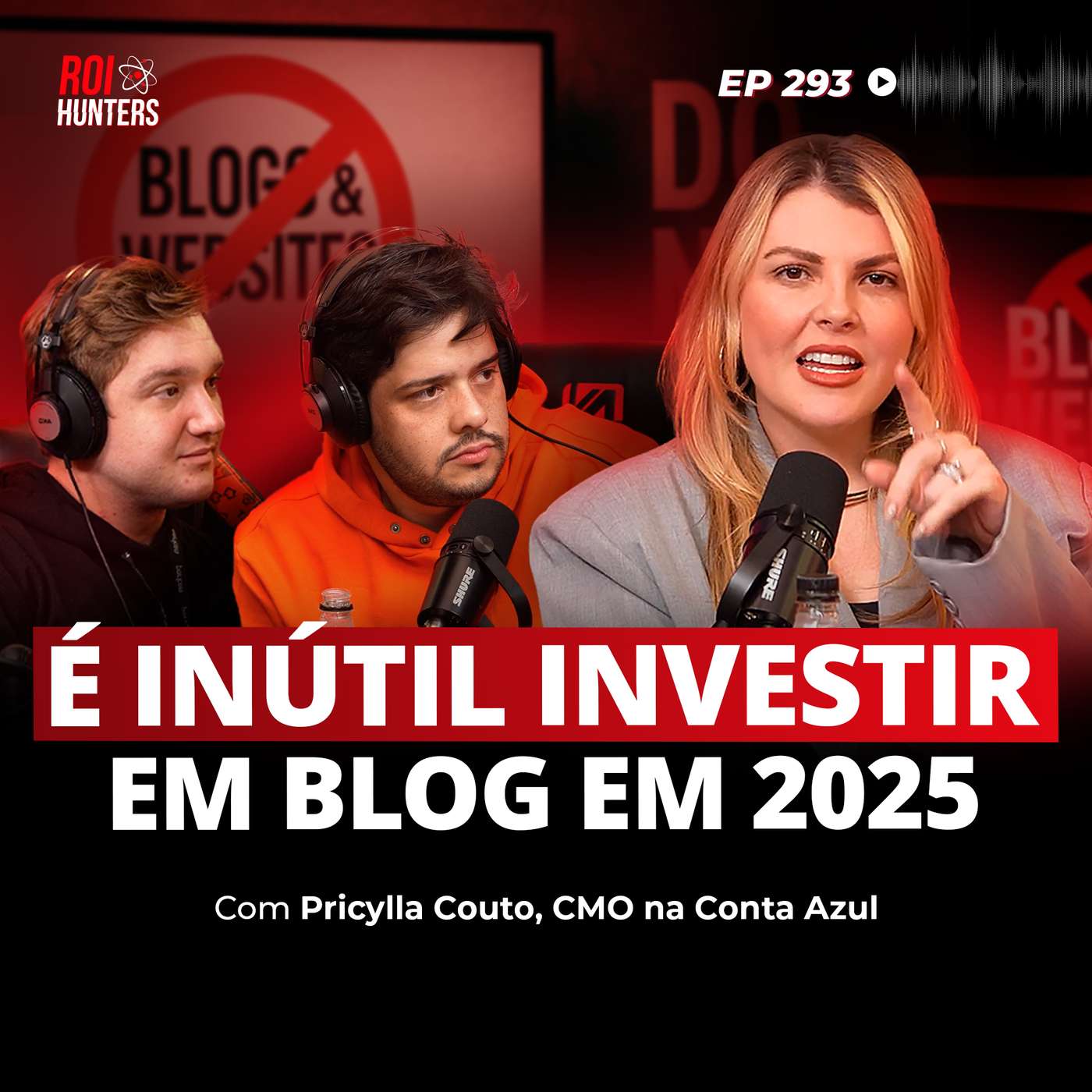 Marketing B2B: Como Estruturar Times Que Geram Receita (Pricylla Couto) | ROI Hunters #293 episode artwork