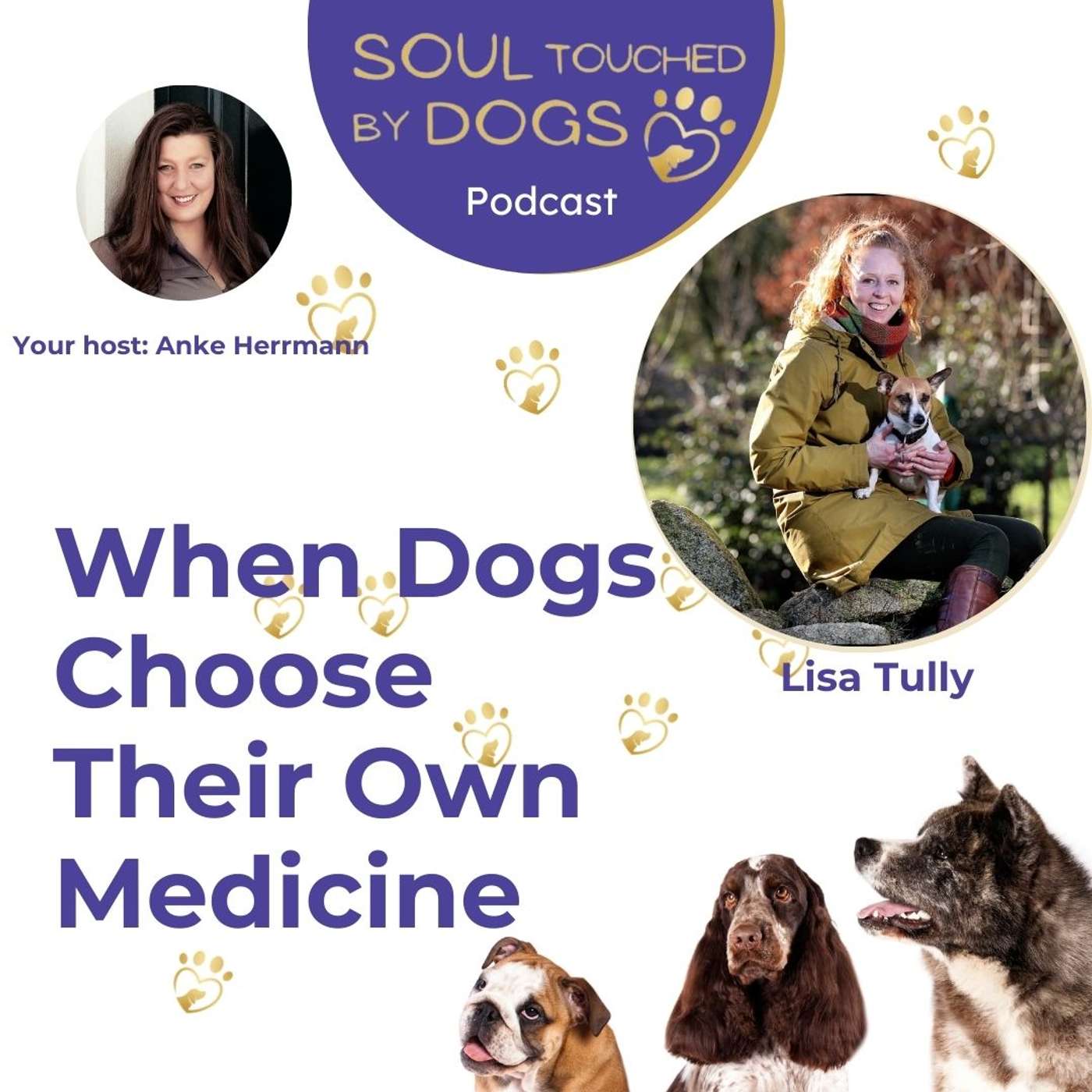 When Dogs Choose Their Own Medicine - With With Animal Healer Lisa Tully