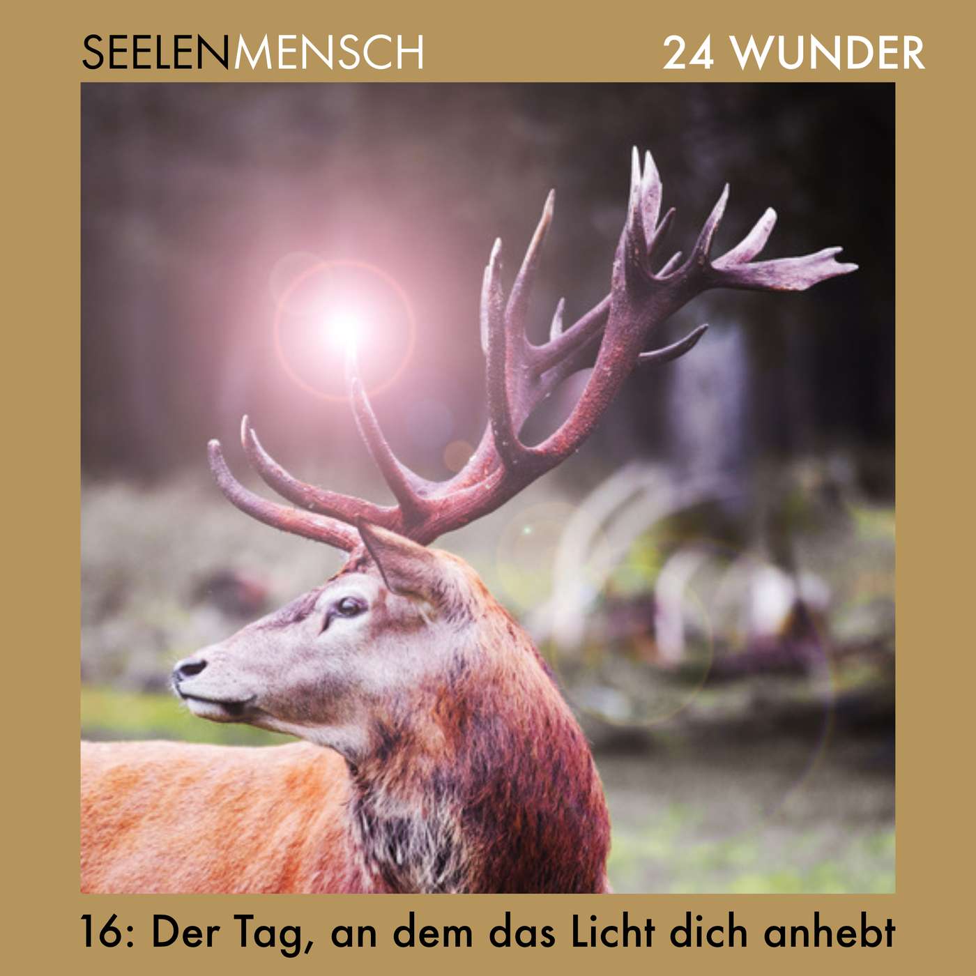 #056 16. Dezember - Der Tag, an dem das Licht dich anhebt #056 16. Dezember - Der Tag, an dem das Licht dich anhebt