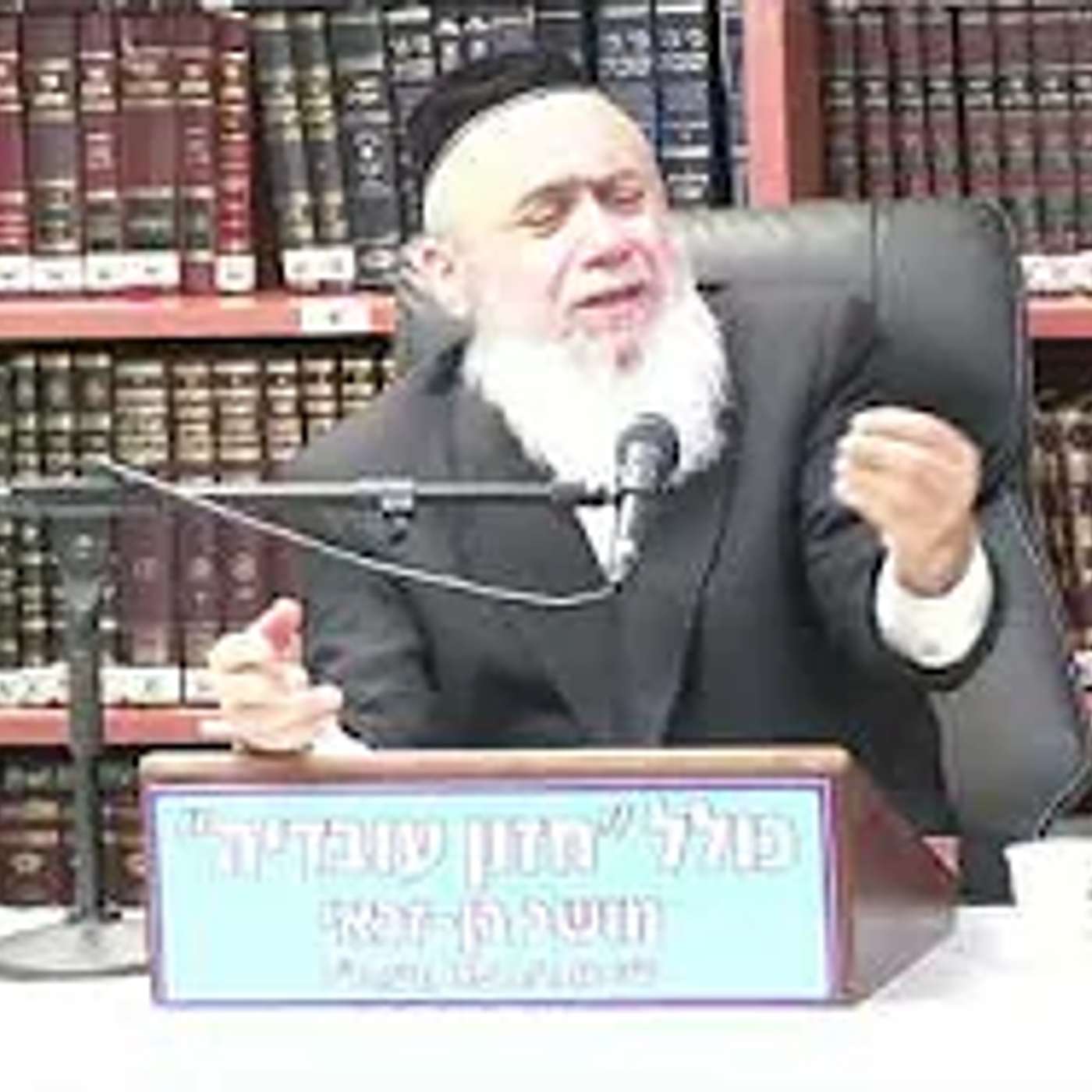 הרב חיים רבי :  אבלות על ירושלים .