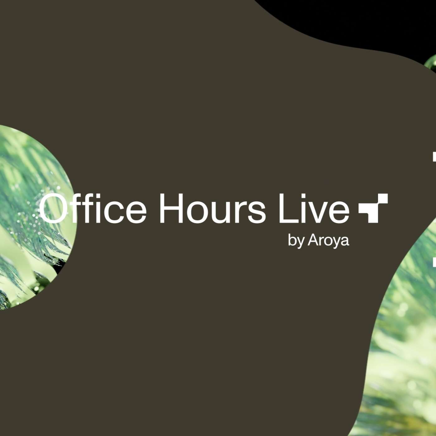 AROYA Office Hours LIVE